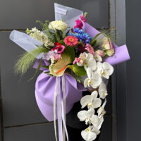 code229